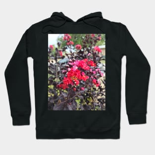 Crepe Myrtle Hoodie